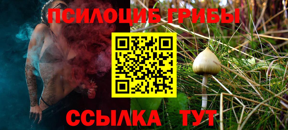 Псилоцибиновые грибы MAGIC MUSHROOMS  Галлюциногенные грибы Psilocybe  Красногорск  Вход с VPN 