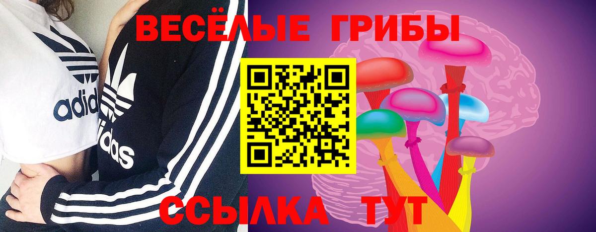 Галлюциногенные грибы мицелий Красногорск